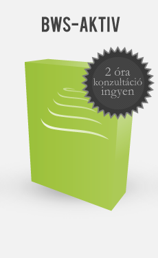 BWS Aktív Weboldal készítés