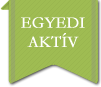 Egyedi aktív