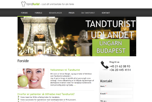 Tandturist
